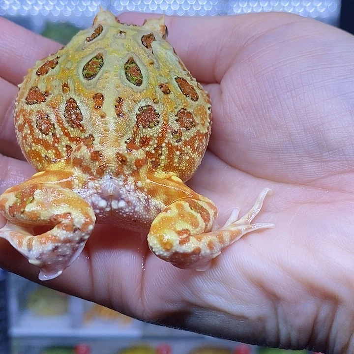 特价秒杀特价原价