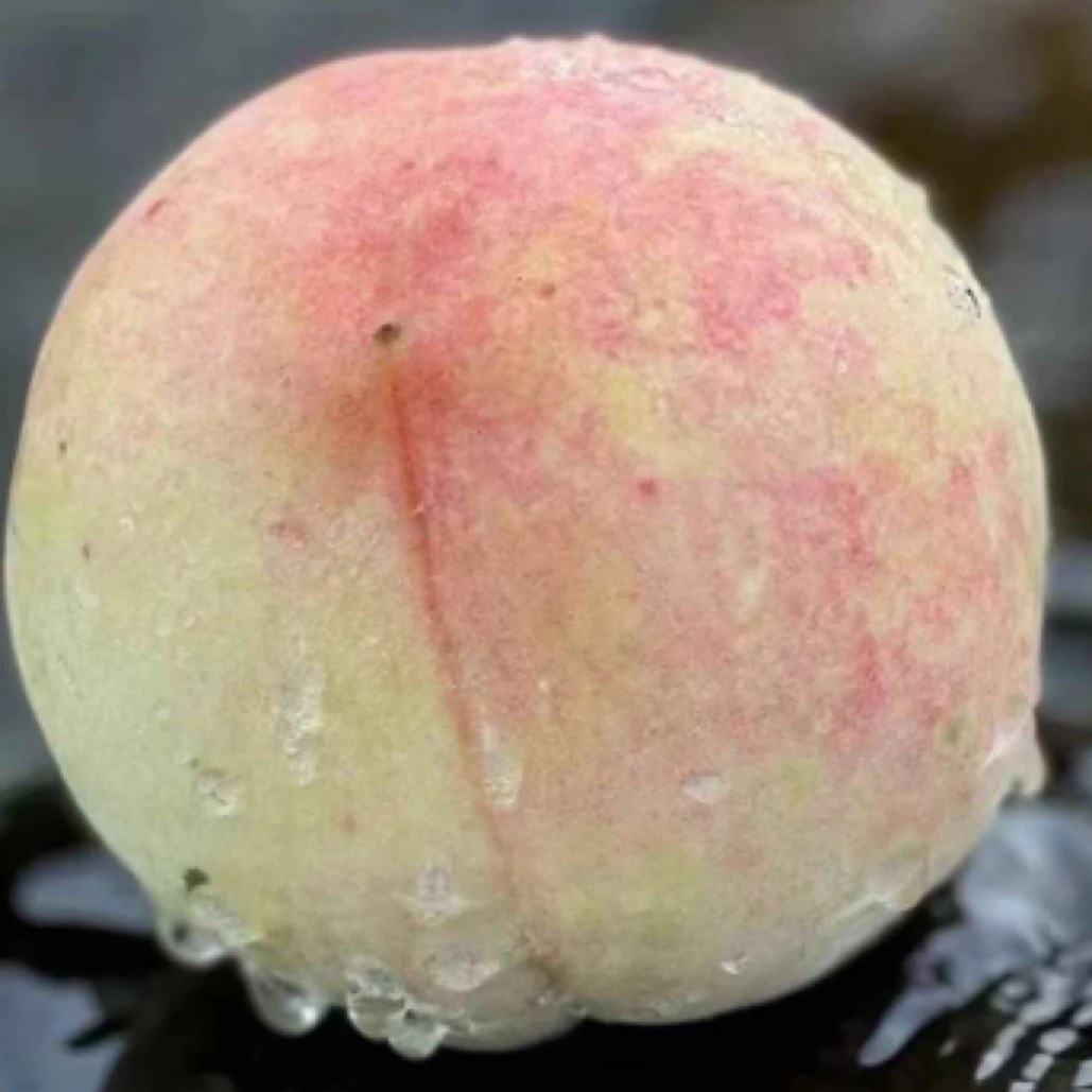 奉化水蜜桃，土豪装，一箱9个，每个5.8两以上浙江省