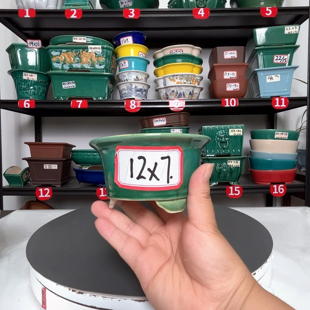 紫砂花盆直播间闪购链接