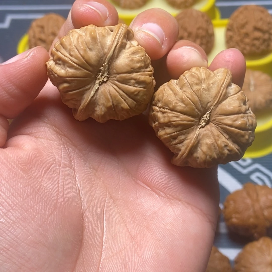 37尺全品南瓜墩白茬