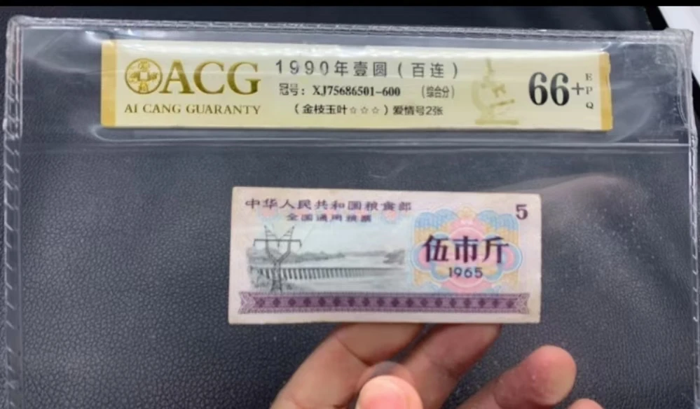 旧票全国通用 五市斤粮票 流通品相 10张