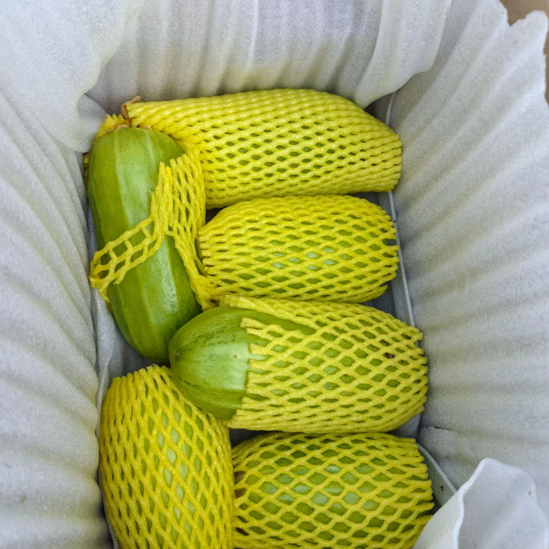 武邑武罗合作社脆瓜 3.8-4斤每箱