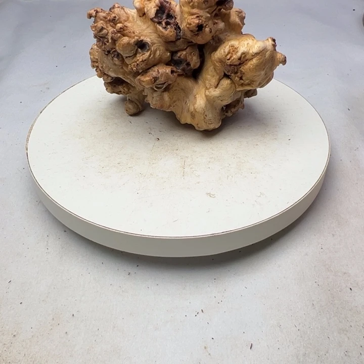 唐***◤木崇荣树瘤底座摆件