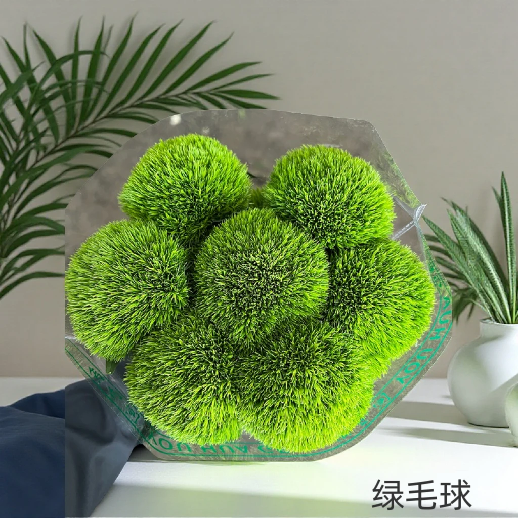 （优花阁）绿毛球绿石竹水养插花家居摆设护眼小清新超长花期