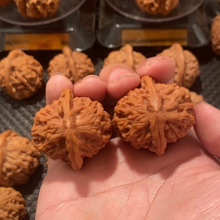 文玩核桃把件大*贝全品天地36+