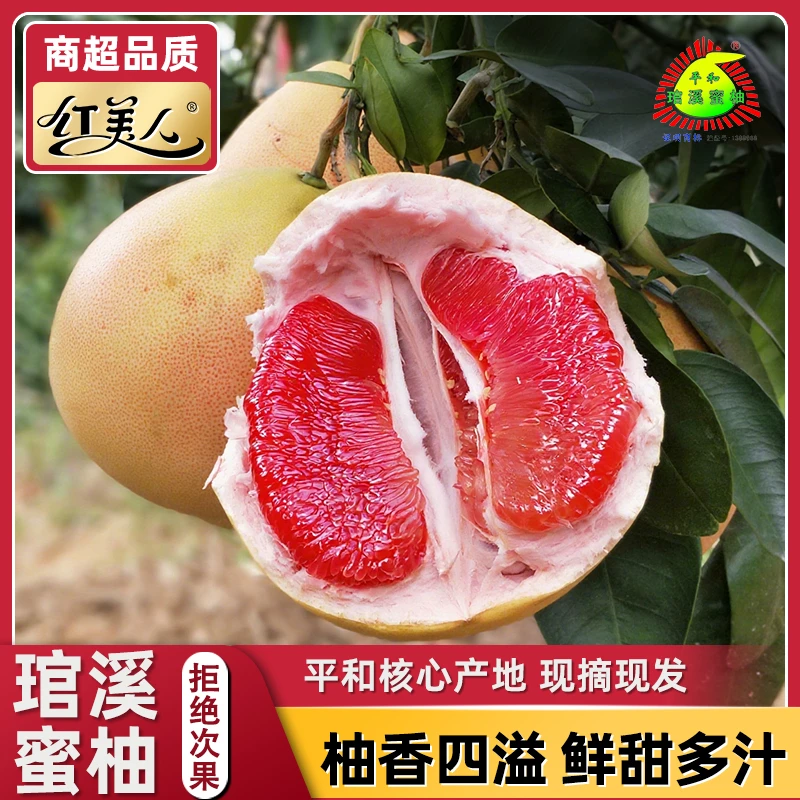 【琯溪蜜柚】平和红心蜜柚新鲜采摘柚子香甜爽口多汁当季下
