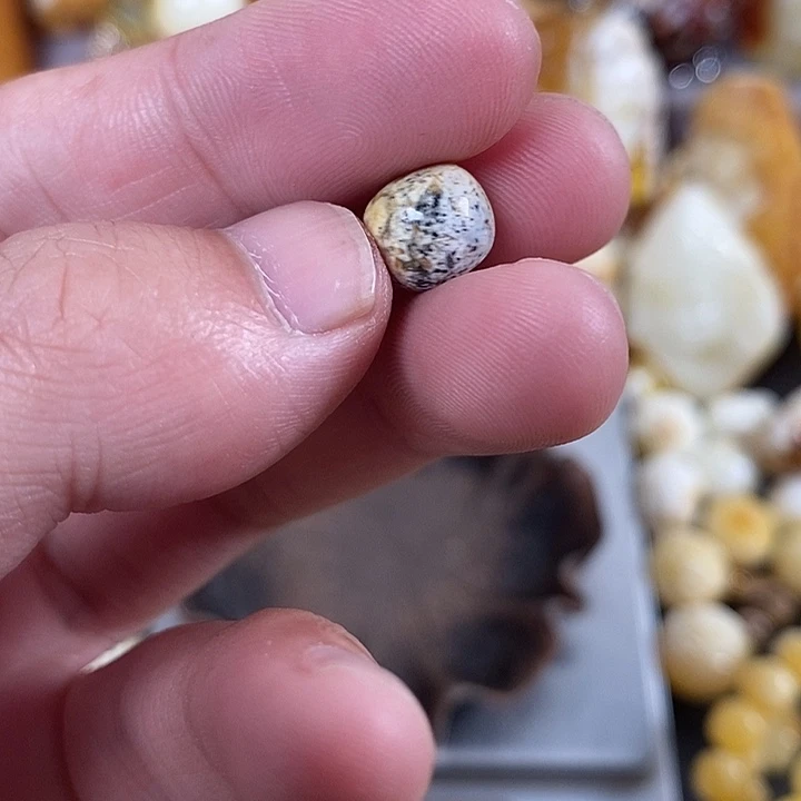 琥珀未镶嵌珠宝奇石我
