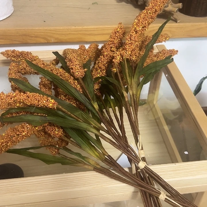 拍品大福利大福利