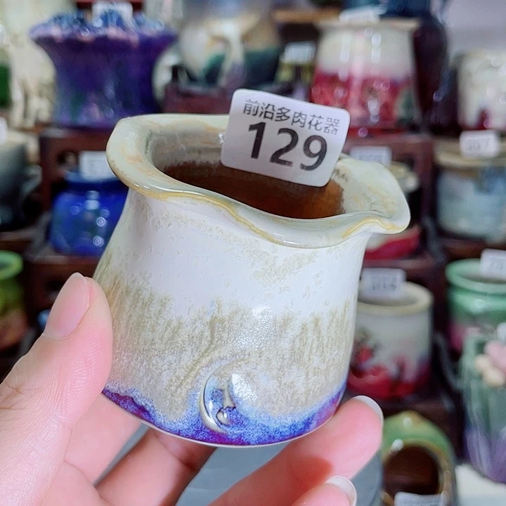 狼盆内口径5高度6