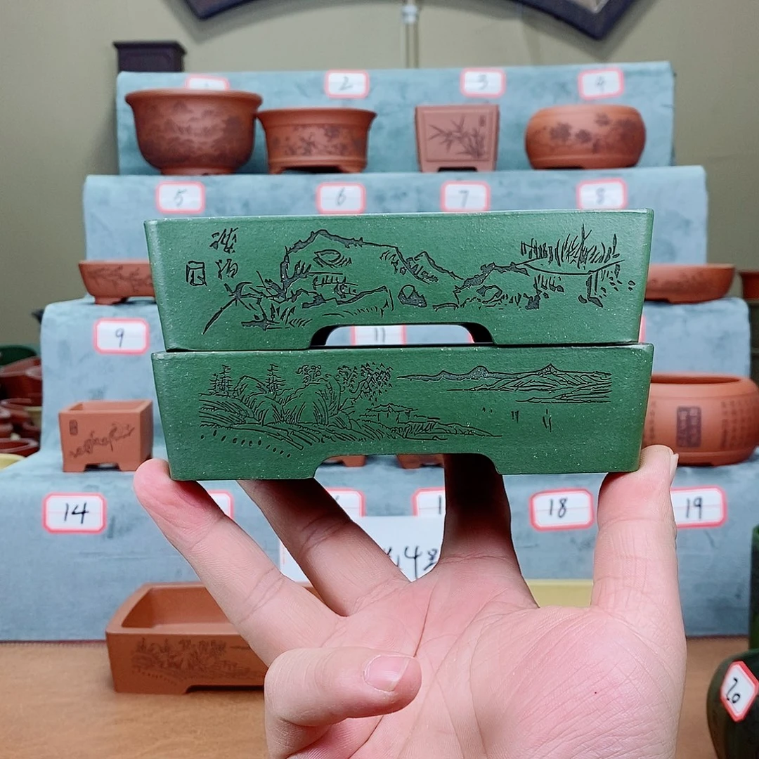 紫砂花盆瑞*我在看书