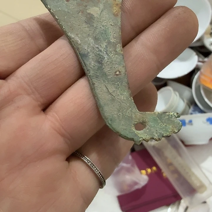 心***韵扇子吃g个哈哈个共和国哥哥哥哥哈