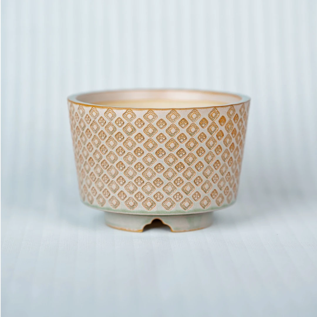 东云烧 多肉花盆 PRO系列 常宿（矮款）  默认微瑕