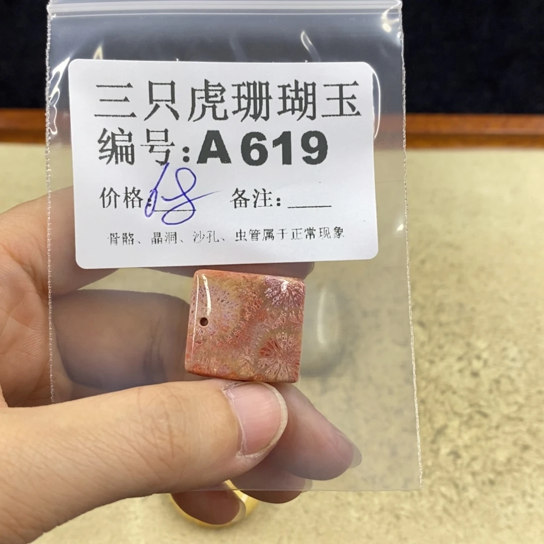 硅化珊瑚（珊瑚玉）1未镶嵌山****i