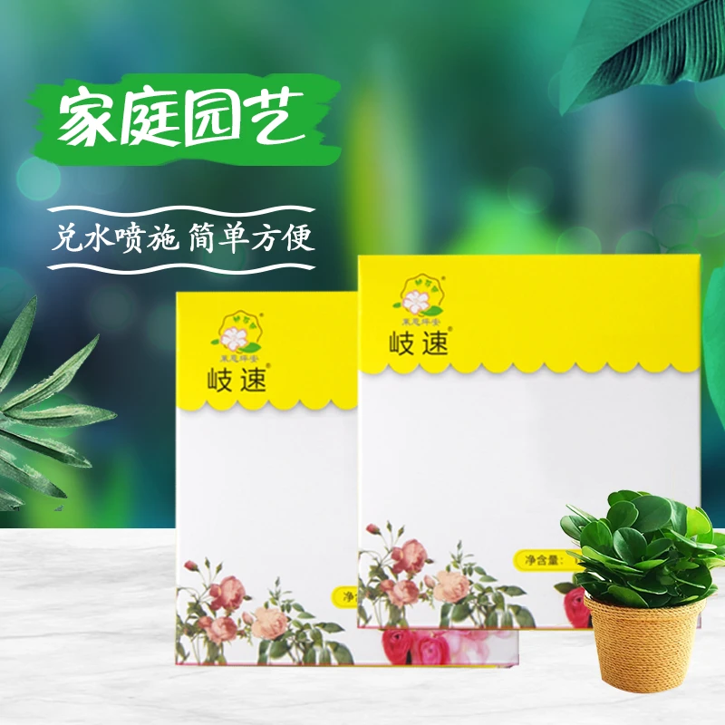家庭园艺新型花卉绿植蔬菜红白蜘蛛室内室外