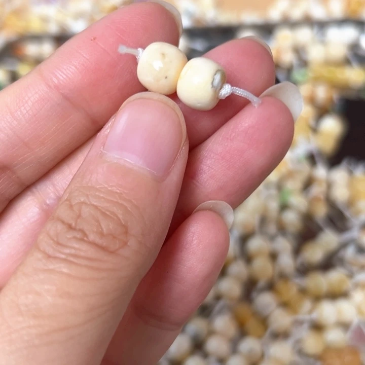 裸石蜜蜡未镶嵌8.5mm一对