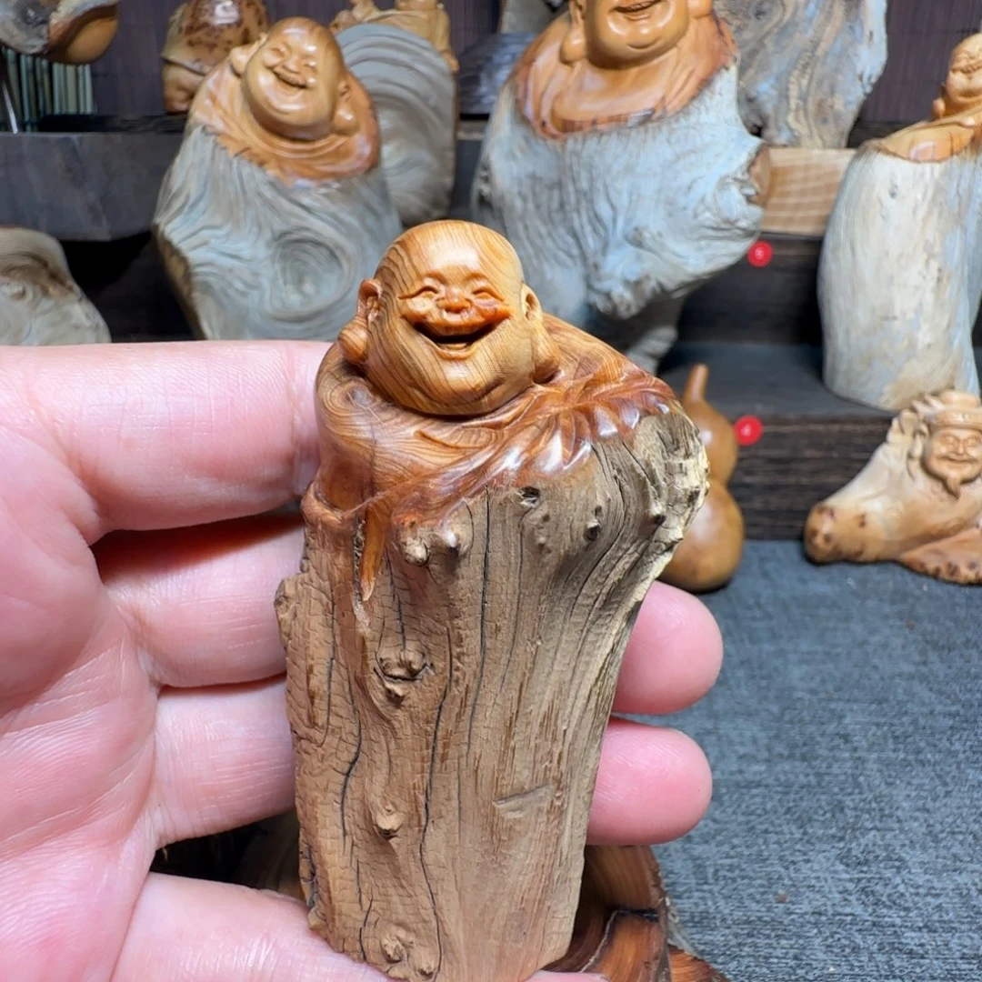 柏木（崖柏）我的小伙伴都在