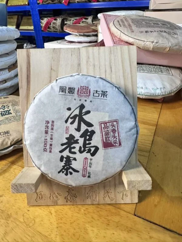 【会长的茶】凰馨2024年冰岛老寨100克饼 古树头春生茶