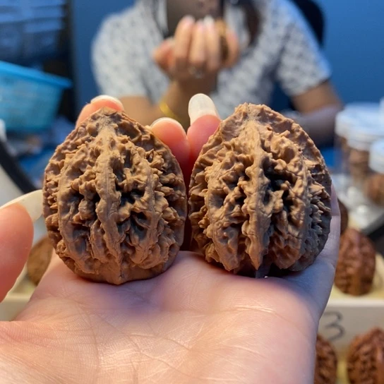大***菇桃核把件东北秋子28