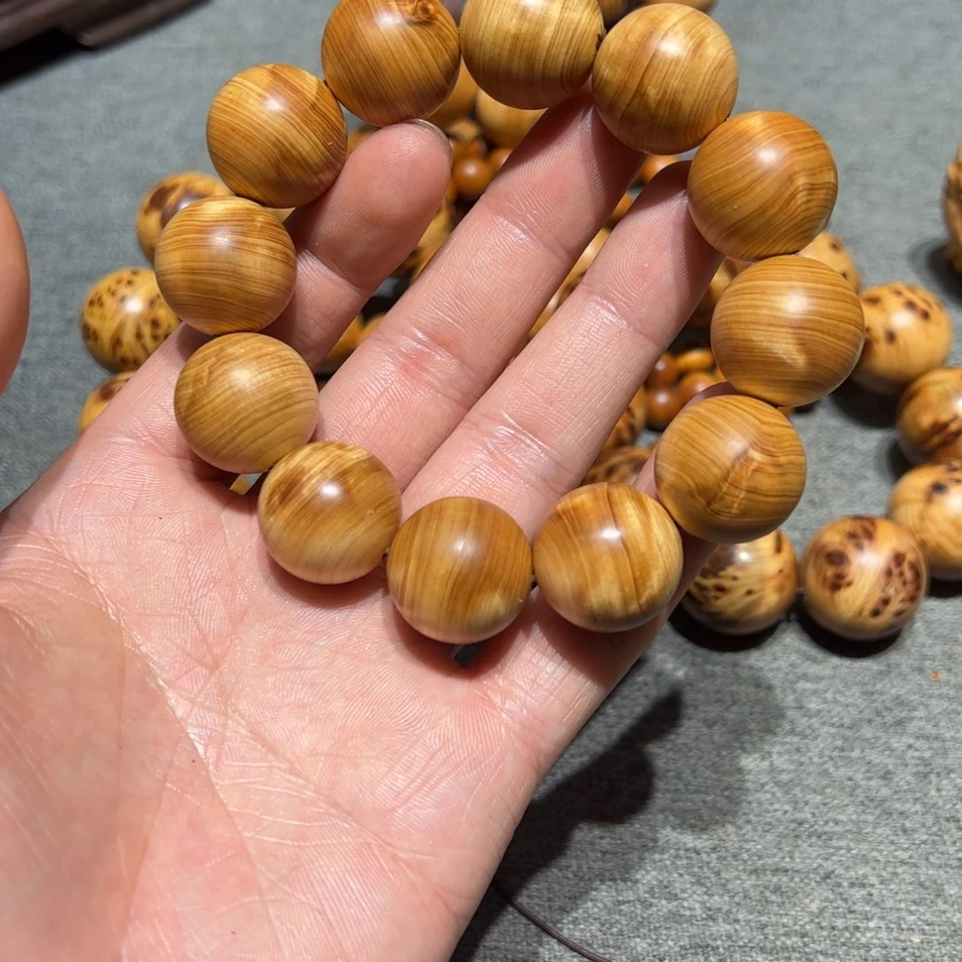 太行崖柏陈化太行