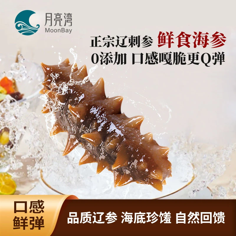 【6A】月亮湾鲜食海参大连辽刺参1斤装