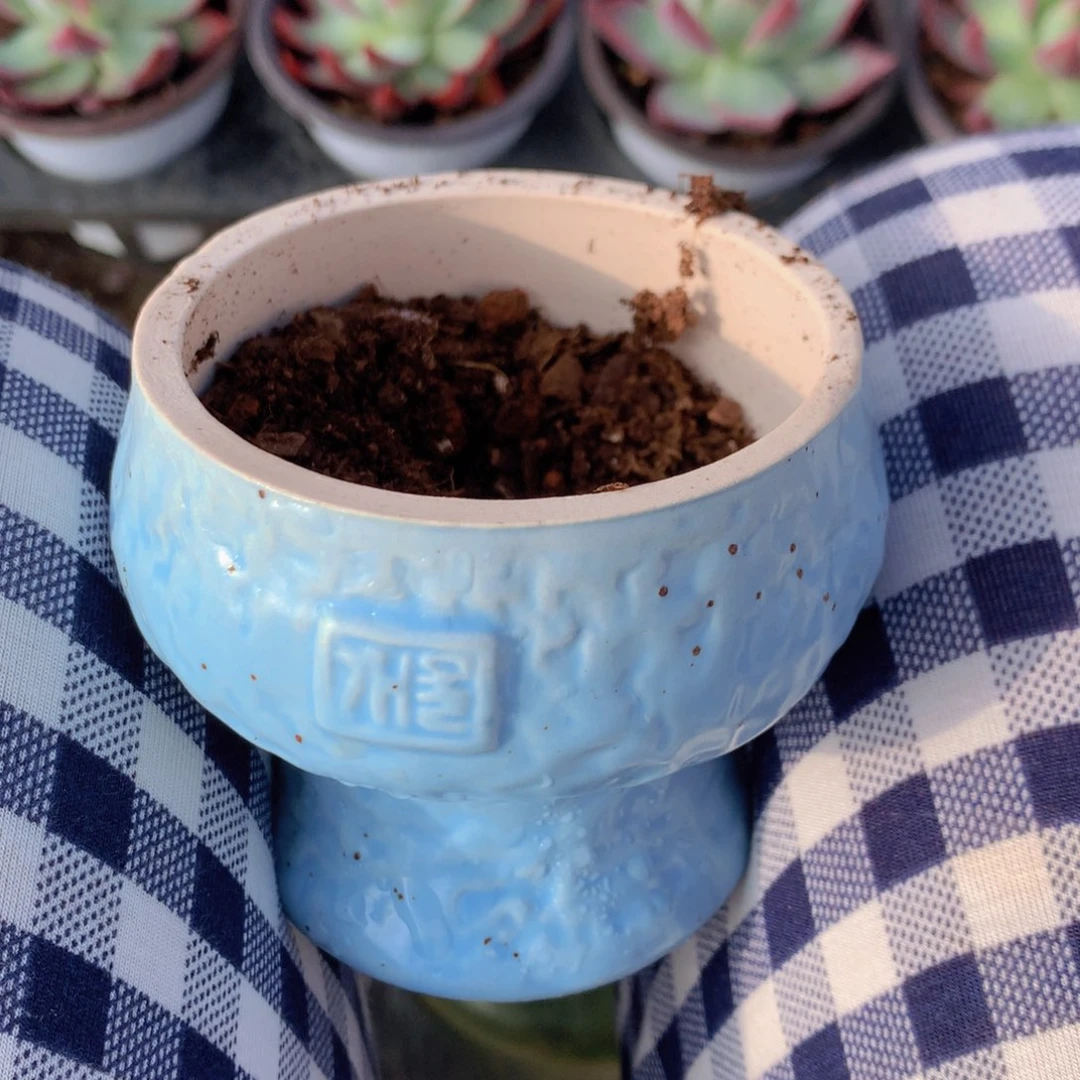 多肉植物花盆一单包邮