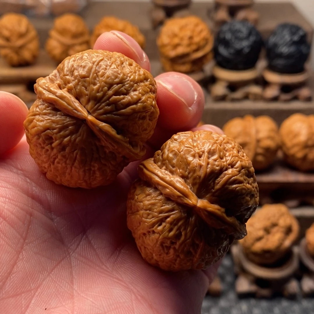 把件文玩核桃木尘珠51尺寸