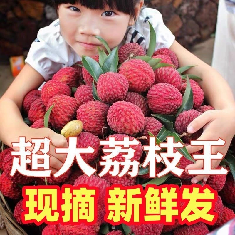 新鲜海南荔枝王现摘大果精品巨大特大荔枝王农家产地直发当季水果