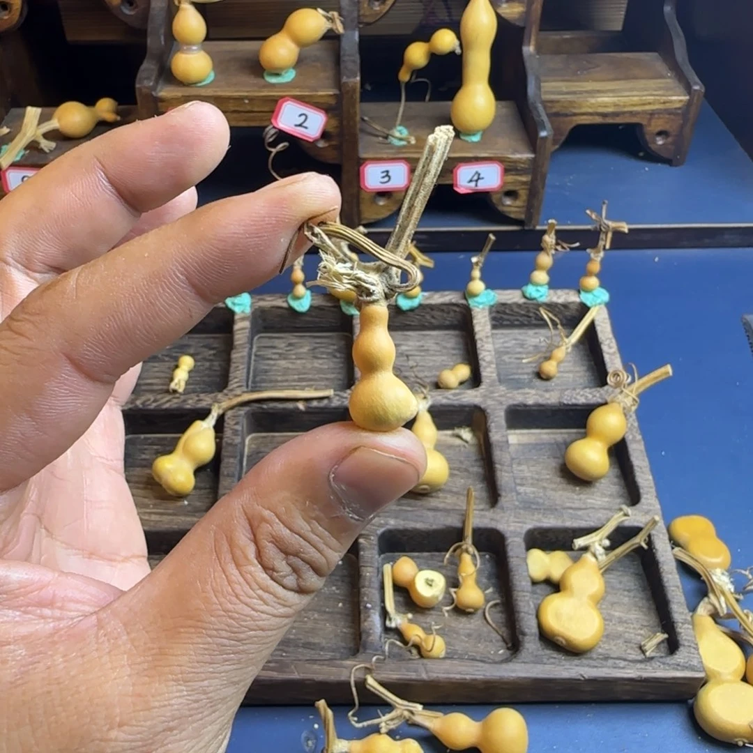 屿*见我是一只小小鸟地域文化特色社会主义核心价值观