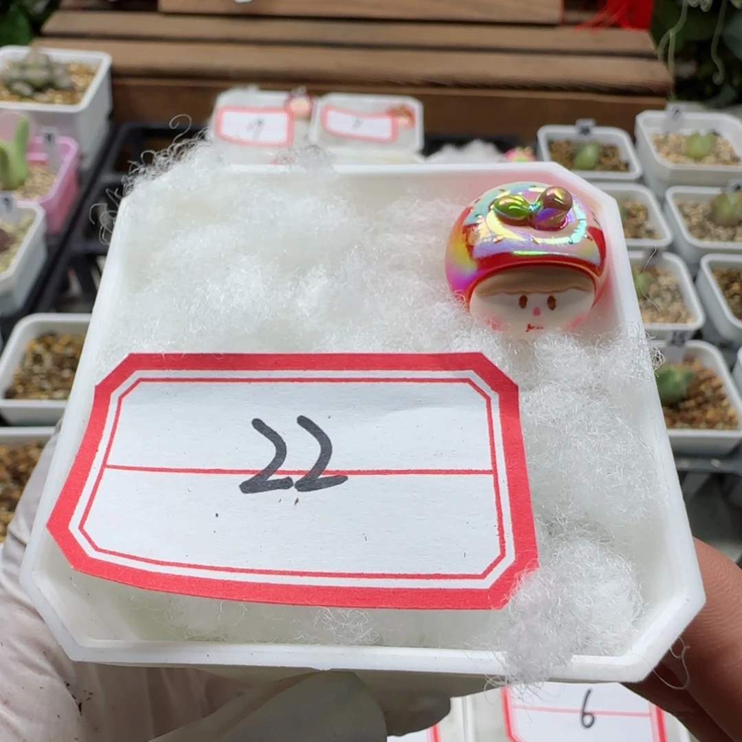 ?***呼2-12-当天满58包邮盲盒