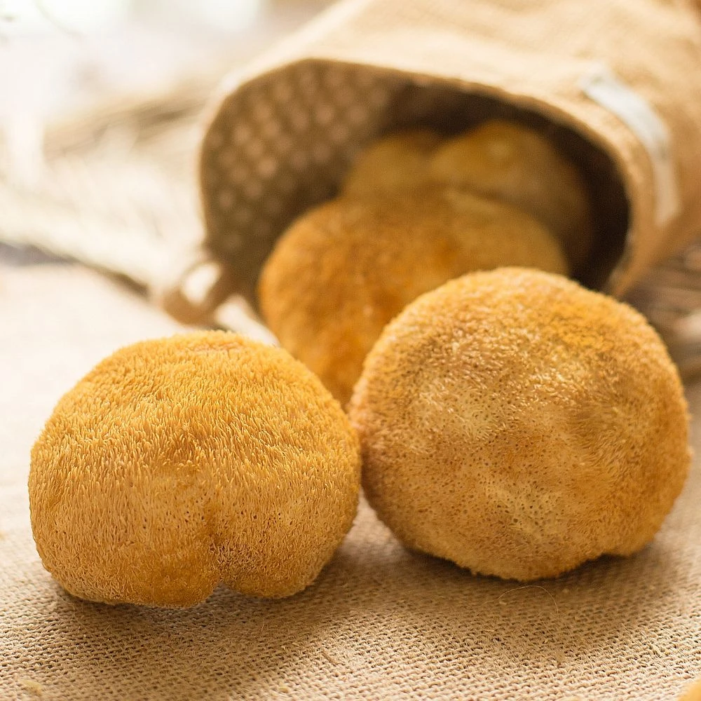 精选猴头菇干货农家晾晒营养滋补煲汤炖肉食用菌食材