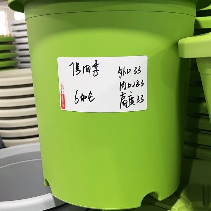 特价7号四季口33高33果绿无托6只