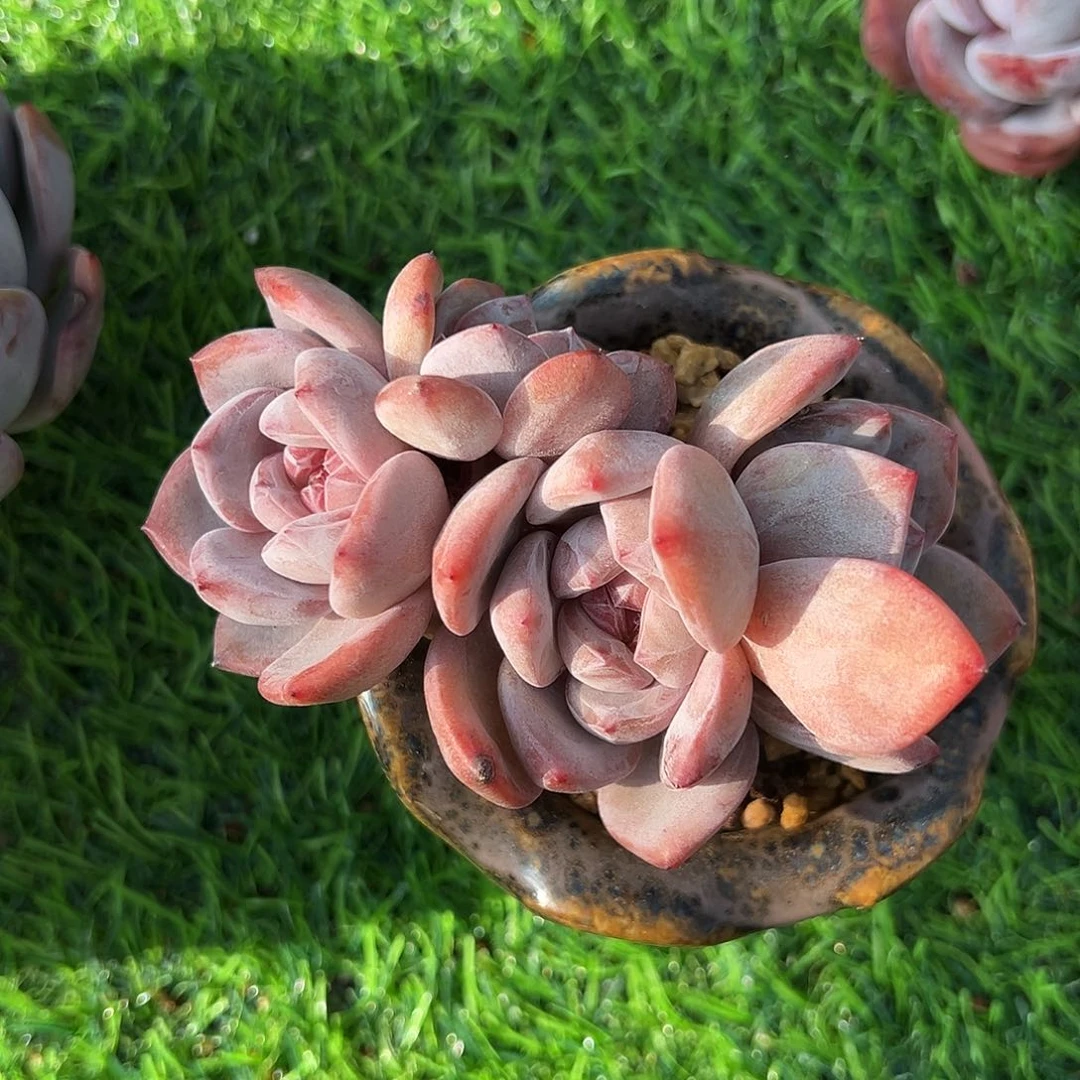 cjbbbbvhvbbjbnnbbbjjhh