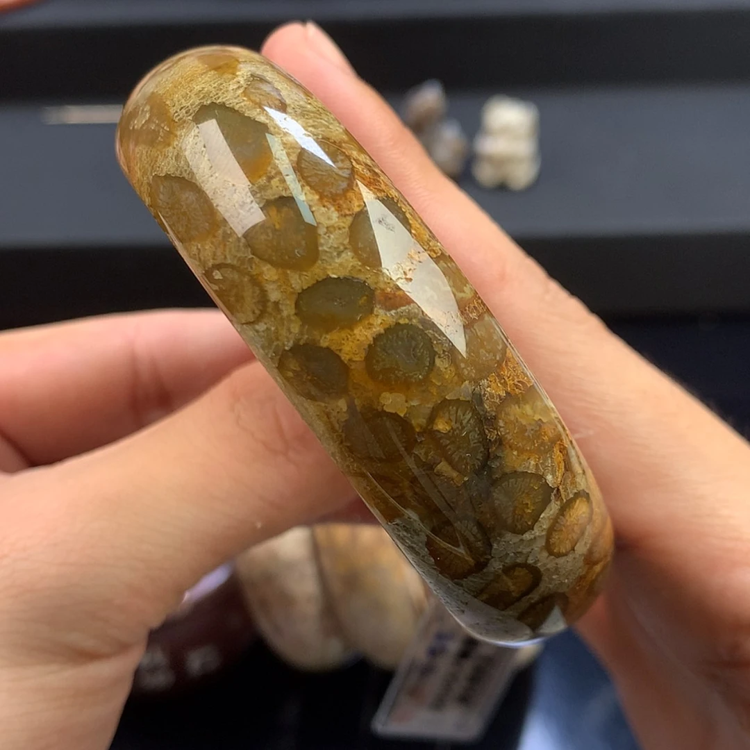 【闪购商品】硅化珊瑚（珊瑚玉）未镶嵌颈饰30号61.4圈共生豹纹
