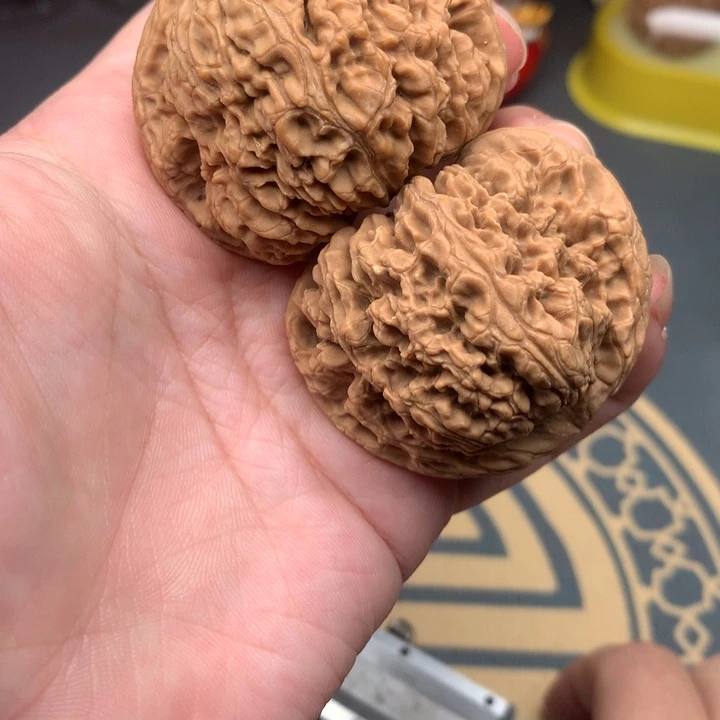 核桃47全品大球南疆