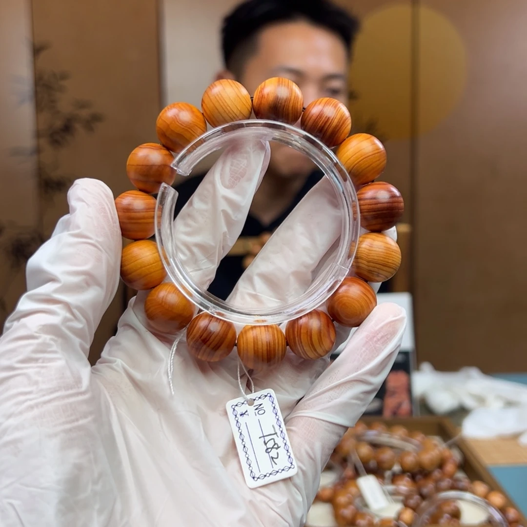 柏木（崖柏）崖柏崖柏1.5