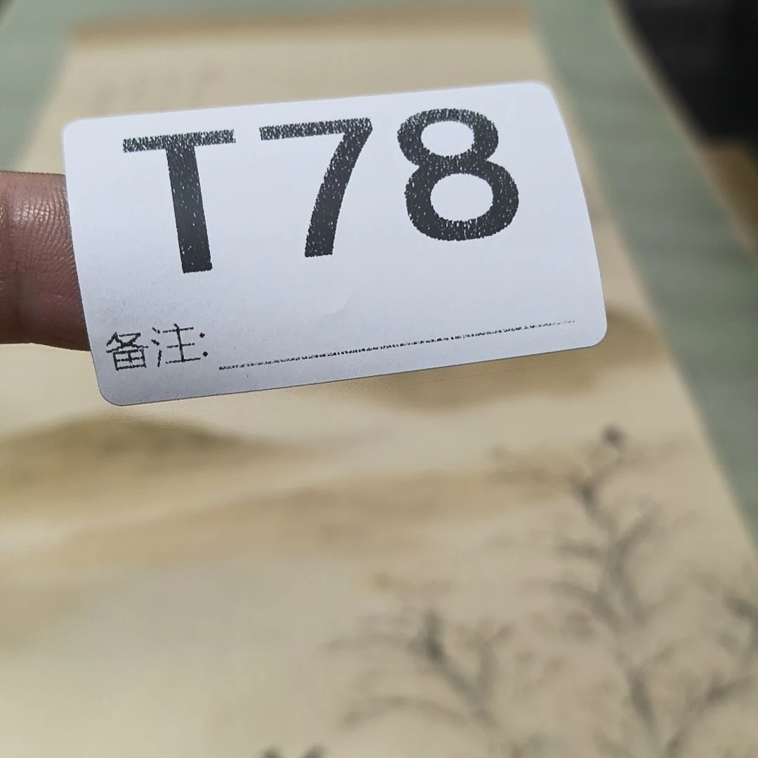 無***室水彩回流精品字画