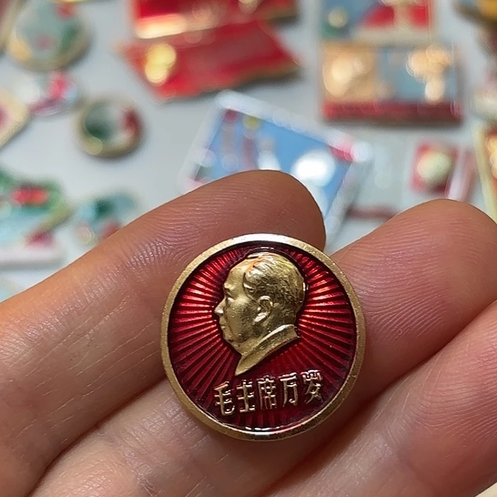 大***⁵其他普通金属纪念章