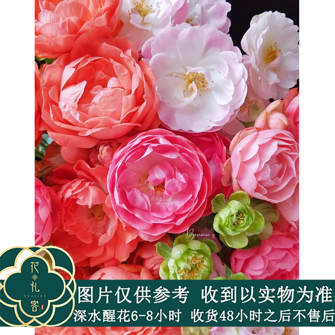 云花巷#多头玫瑰 【泡芙系列】鲜花优选基地顺丰直发