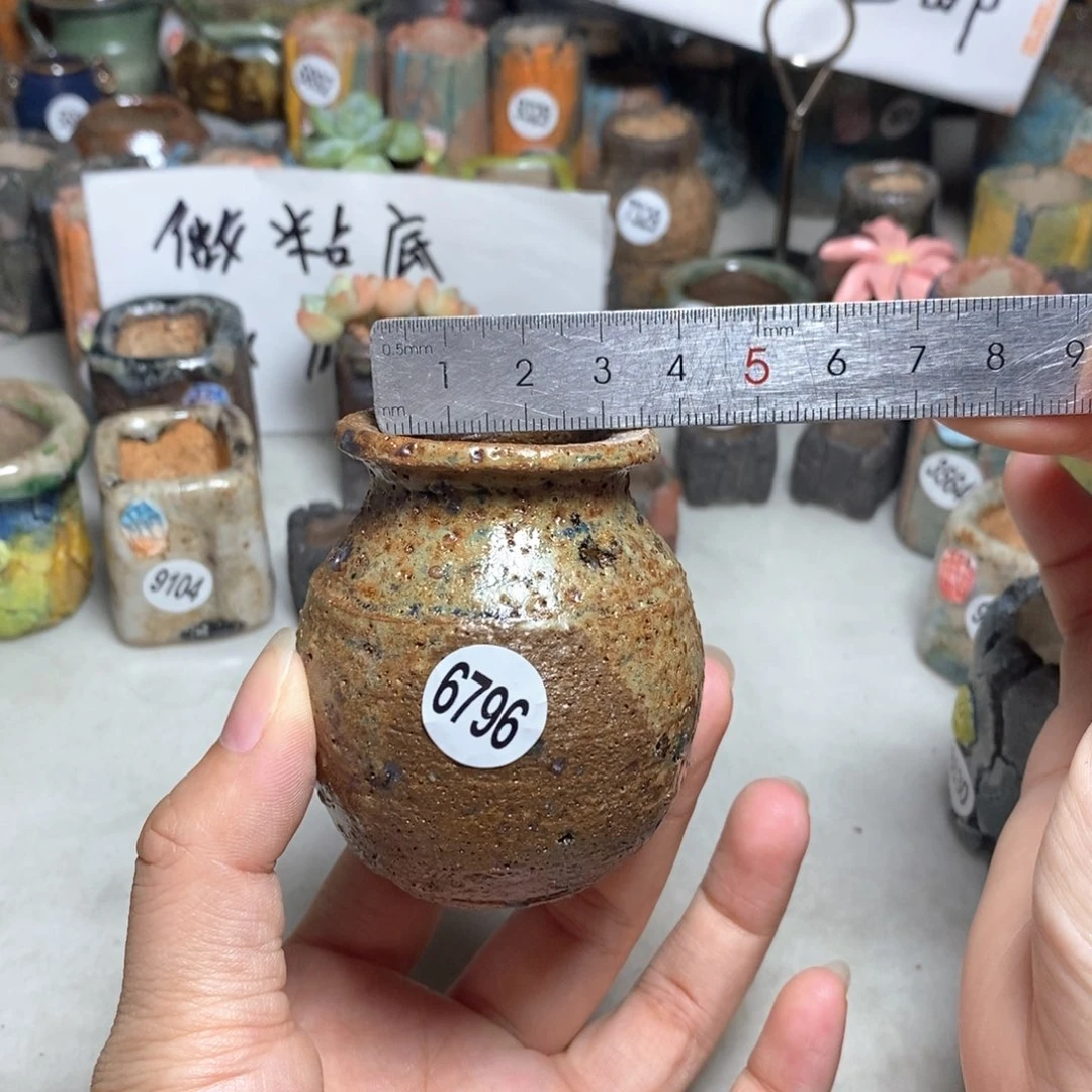 拍5送一个小礼物