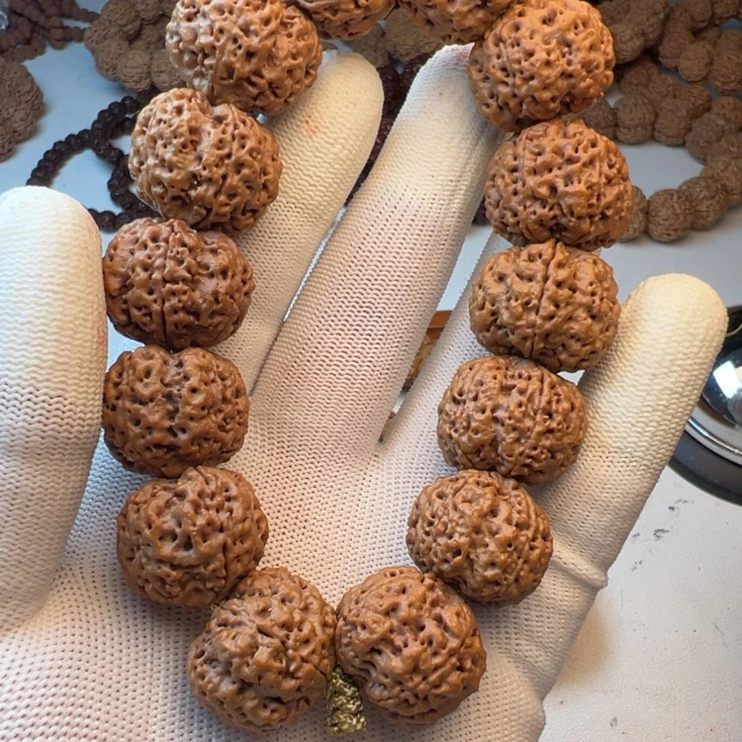 金刚菩提吊坠5瓣23飓肉蜂王