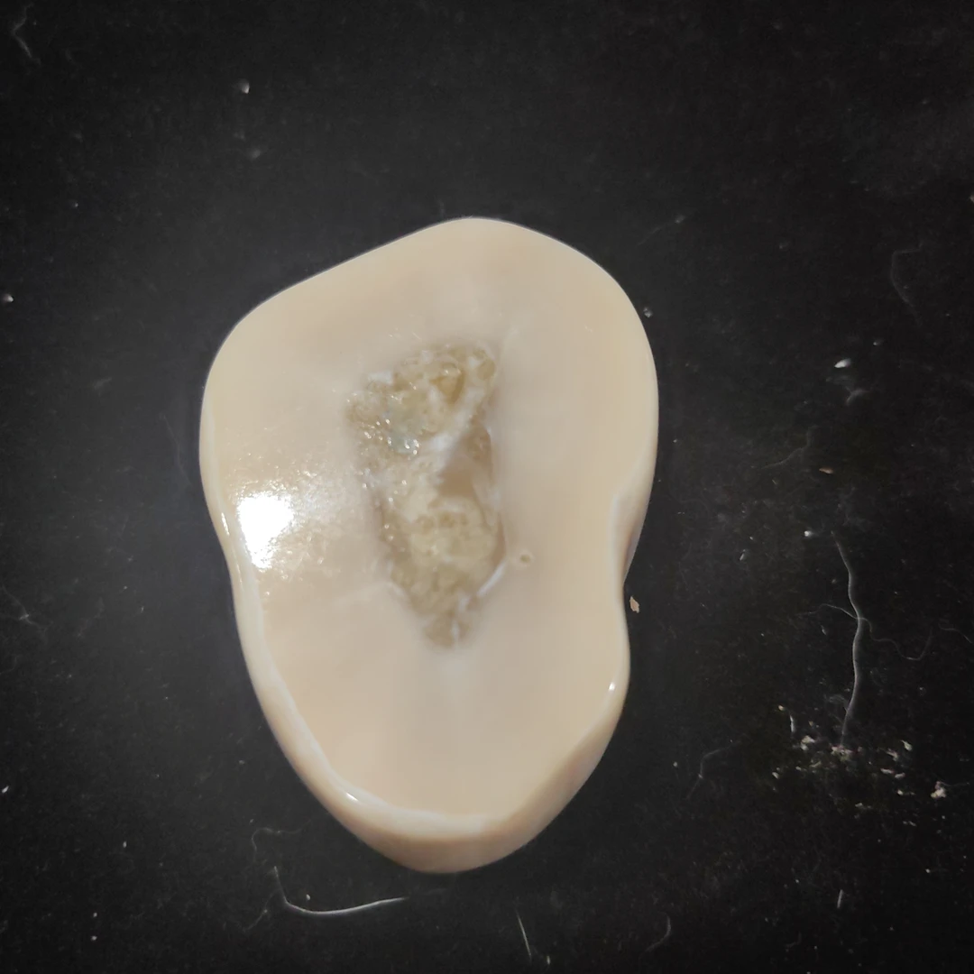 猛犸猛犸虬饼子WW211