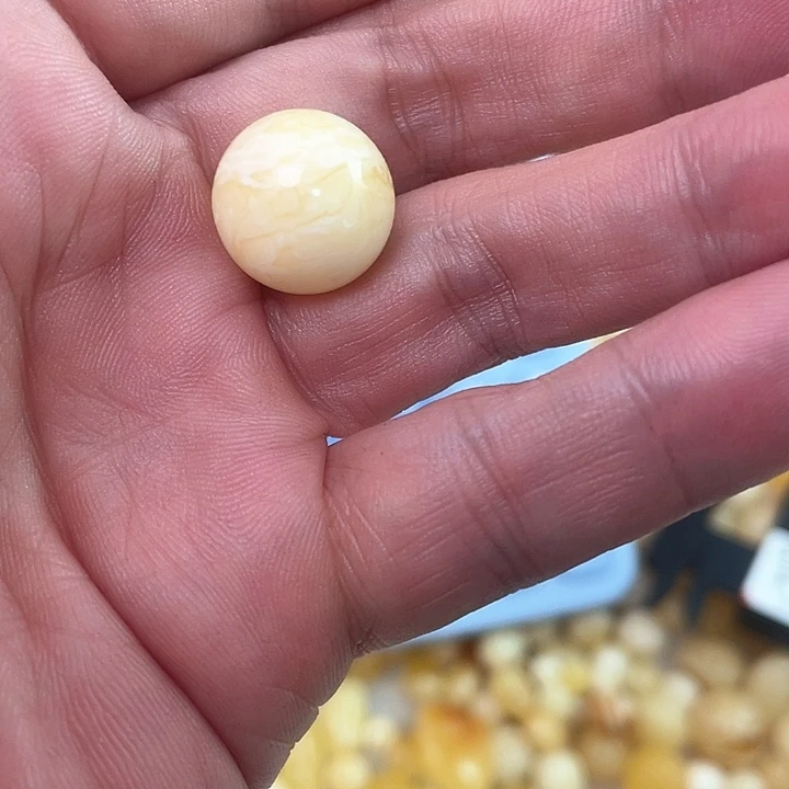 裸石琥珀未镶嵌15.5毫米圆珠