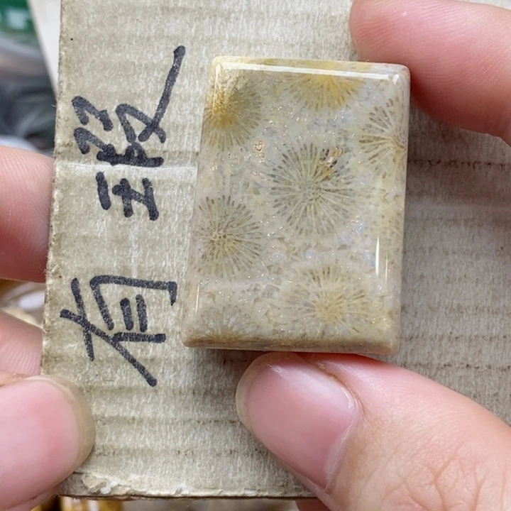 硅化珊瑚（珊瑚玉）未镶嵌颈饰༄****