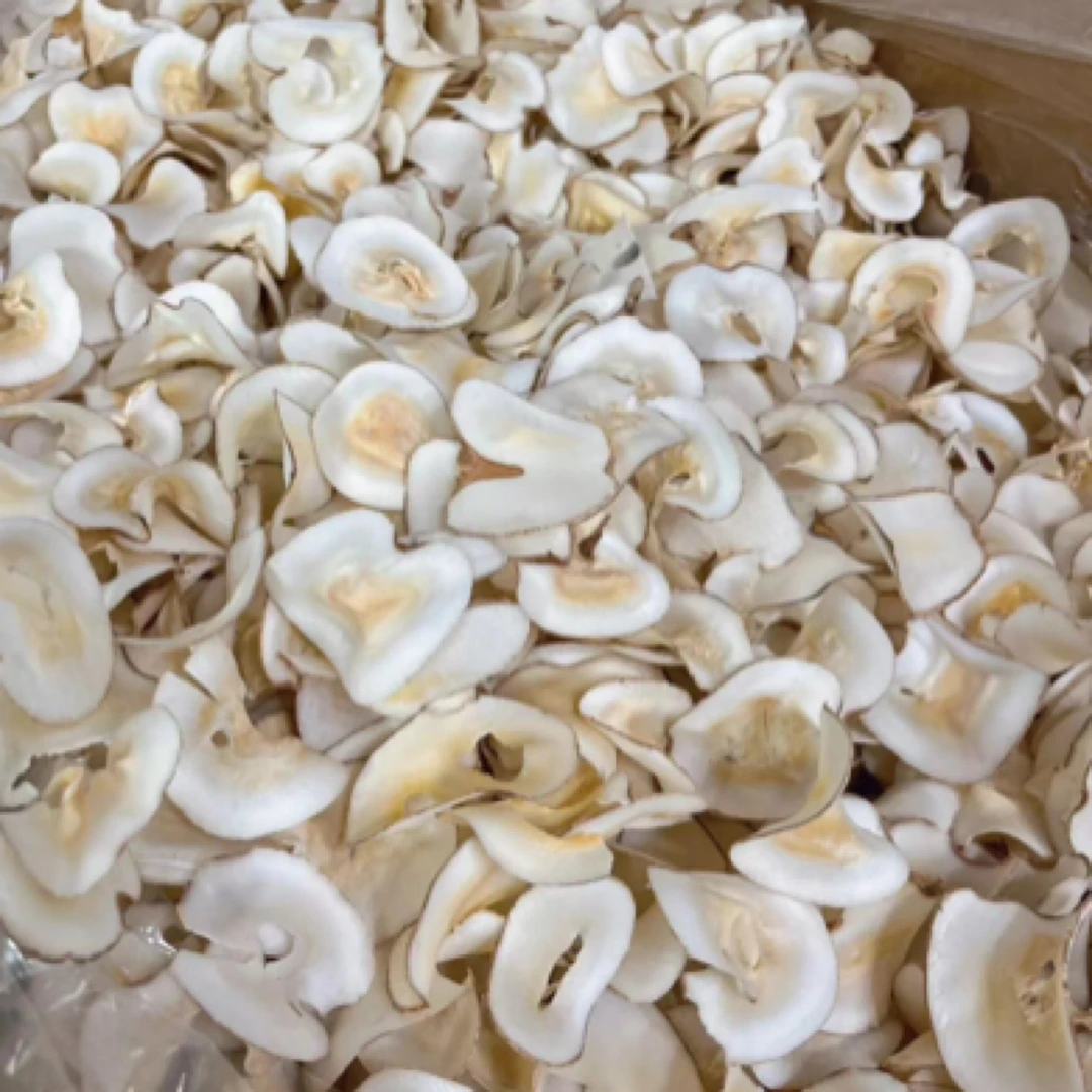 创汇优选 海底椰