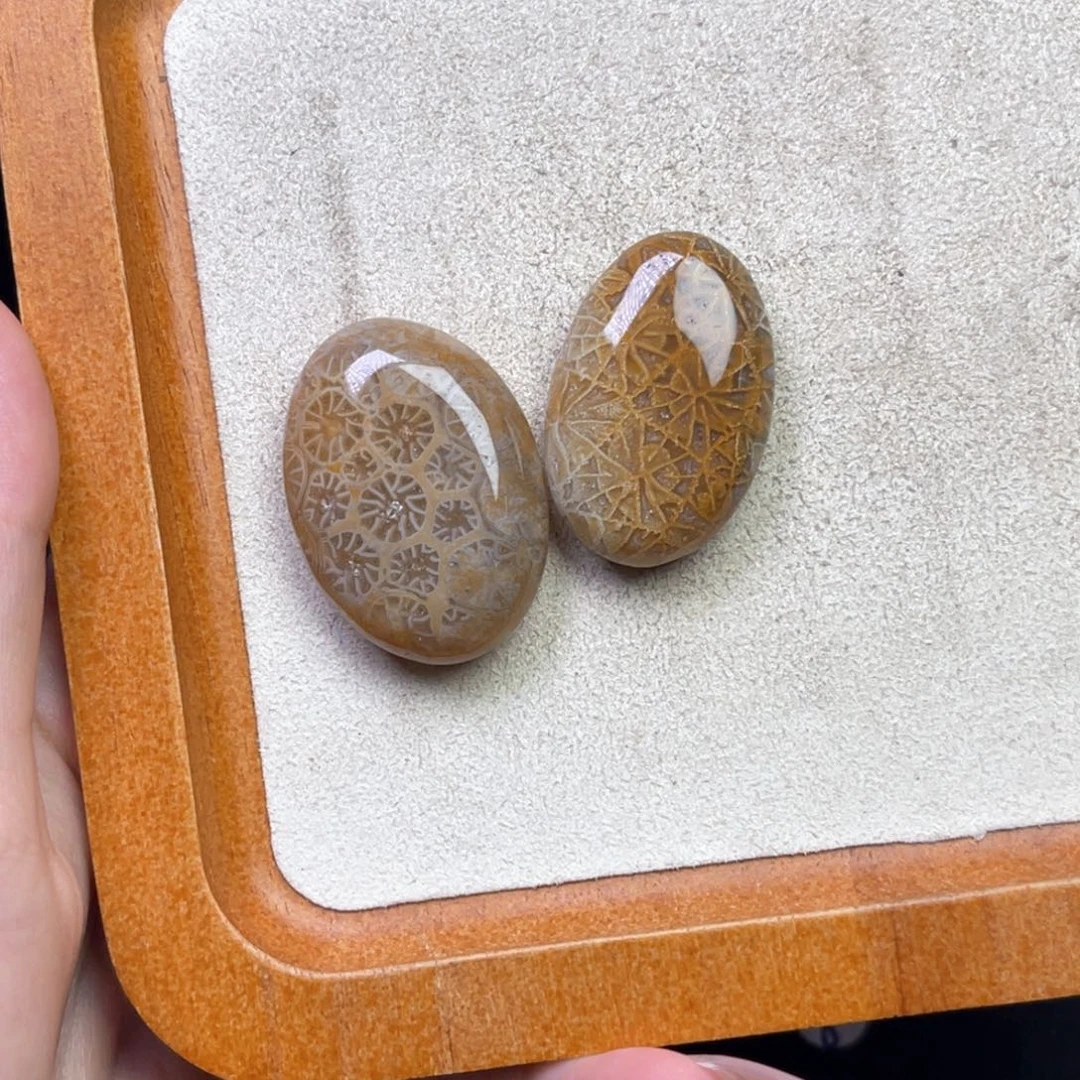 硅化珊瑚（珊瑚玉）吊坠未镶嵌