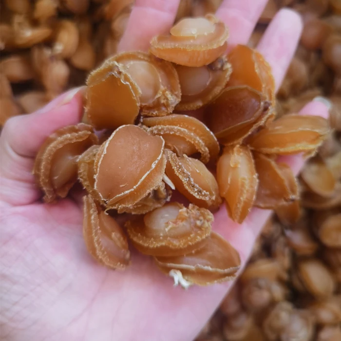 【珠海升仔】60头鲍鱼干 渔民自晒鲍鱼 250克/500克