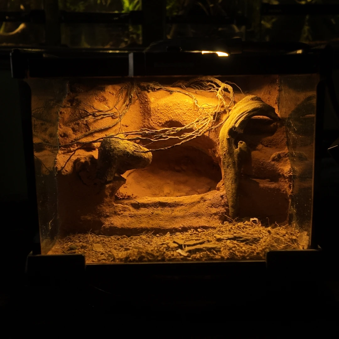 爬宠造景缸荒漠款爬虫饲养箱蜘蛛20.20.16