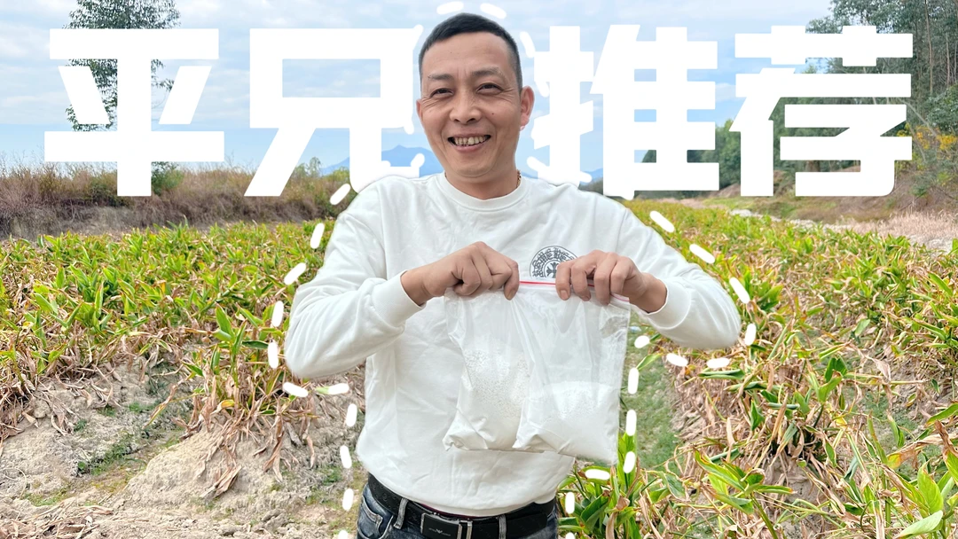 中三兴平哥助农海丰农特产 番薯粉