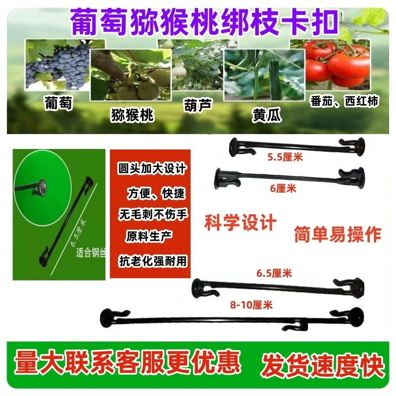 葡萄绑枝卡猕猴桃卡扣树苗卡子枝条塑料固定挂钩扣子扎丝神器绑枝