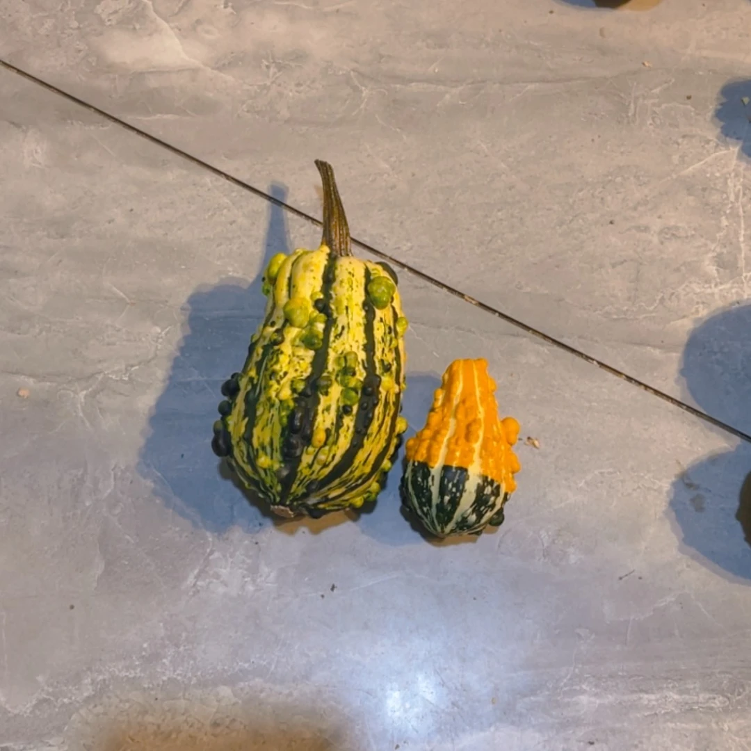 【闪购商品】失*.哈哈哈哈哈哈哈哈哈